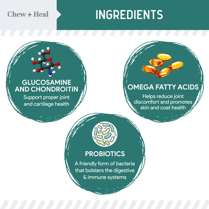 Chew + Heal - Essential 12-in-1 Multivitamin Soft Chews for Dogs