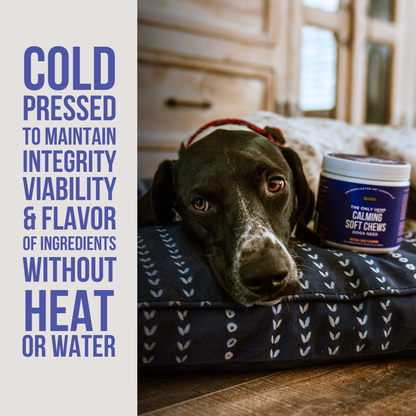 Natural Rapport - The Only Hemp Calming Soft Chews Dogs Need
