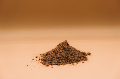 holisticanine - Organic Shroom Boost Supplement | Immune and Cognitive Support