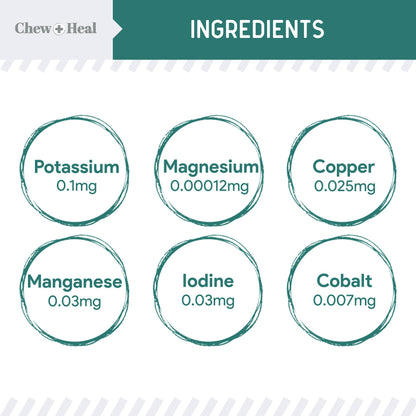 Chew + Heal - Essential 12-in-1 Multivitamin Soft Chews for Dogs