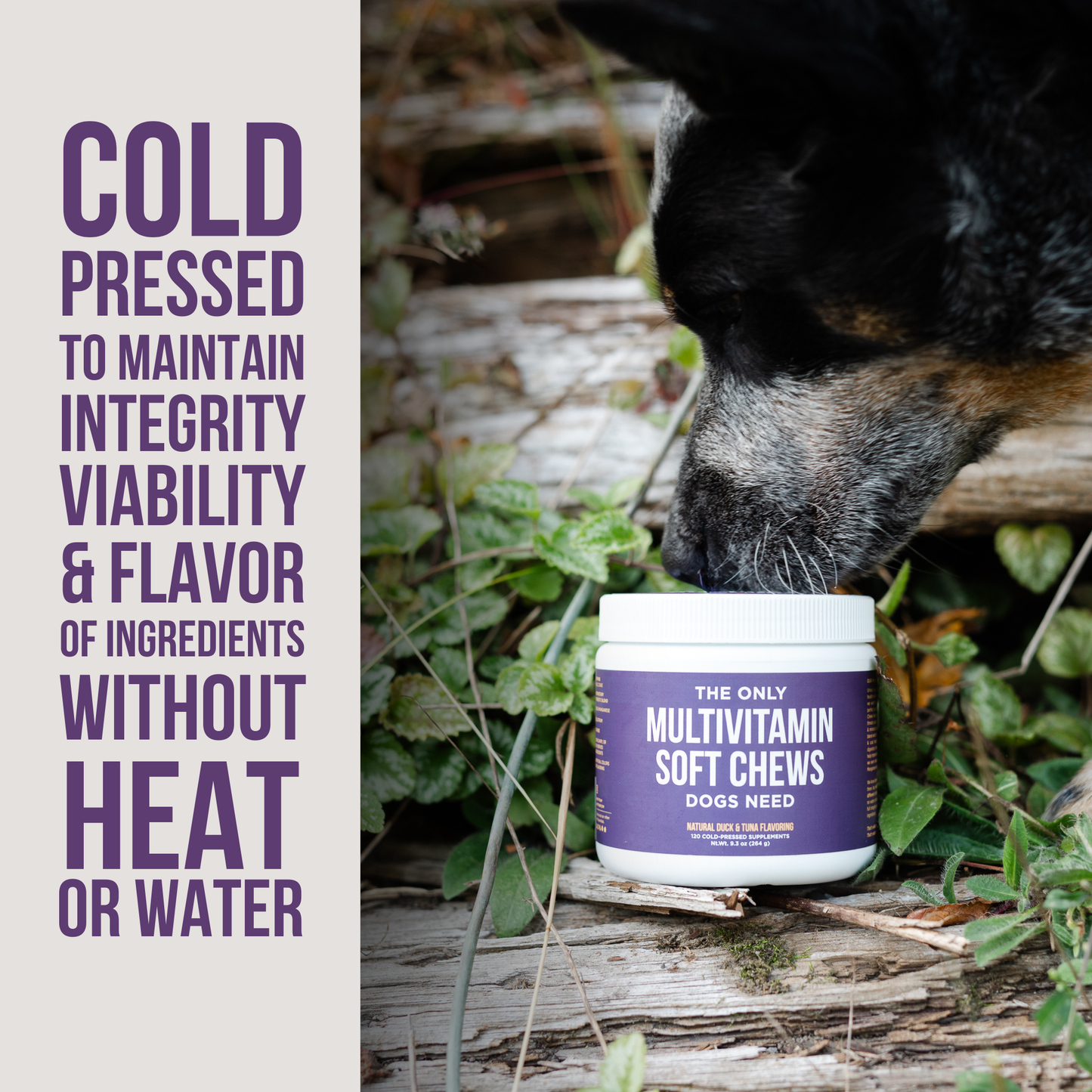 Natural Rapport - The Only Multivitamin Soft Chews Dogs Need