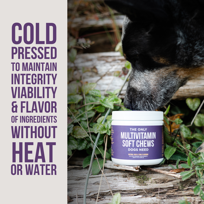 Natural Rapport - The Only Multivitamin Soft Chews Dogs Need