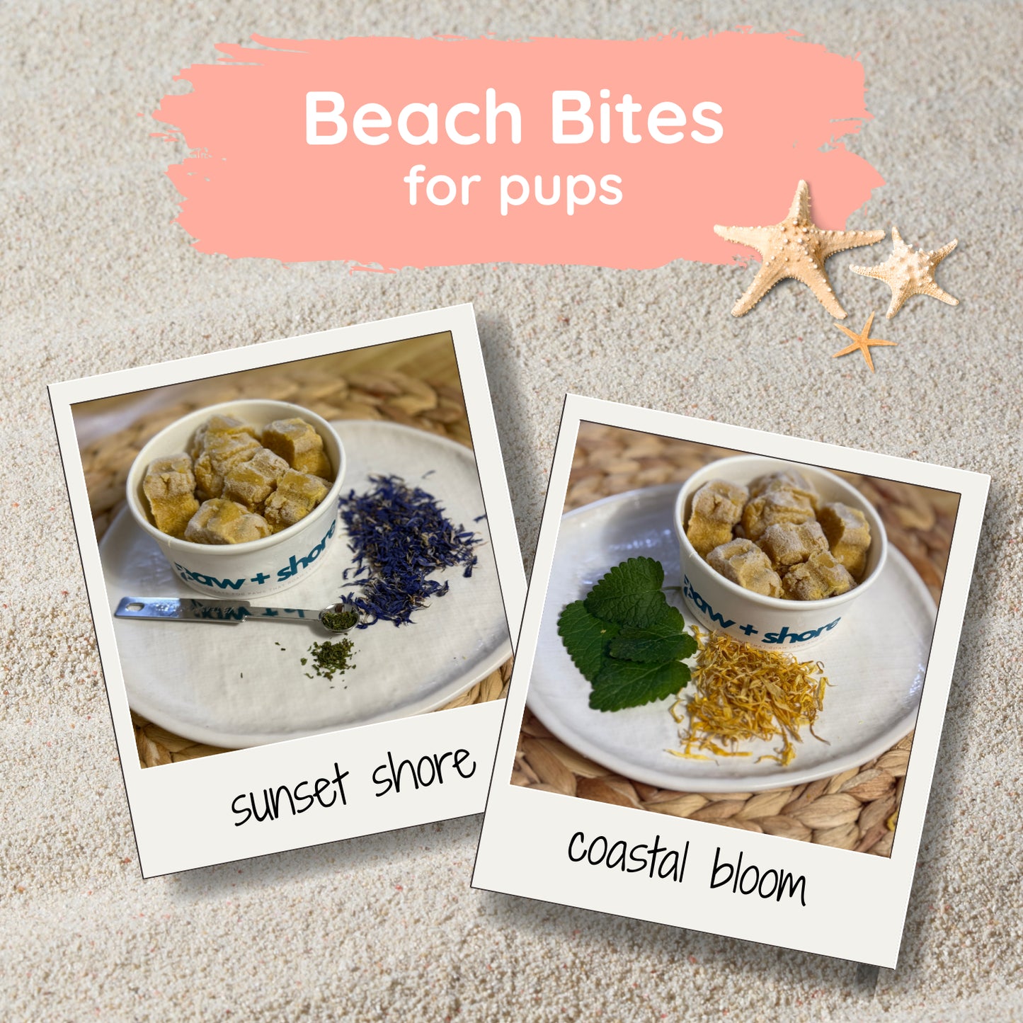 Beach Bites - Single Tub (~6 Large Treats)