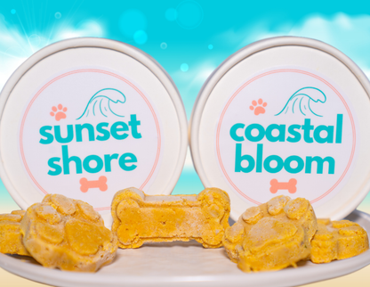 Beach Bites - Single Tub (~6 Large Treats)