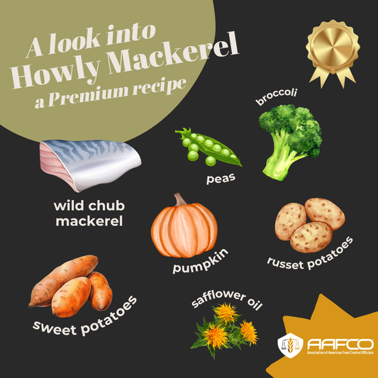 Howly Mackerel | COMING SOON