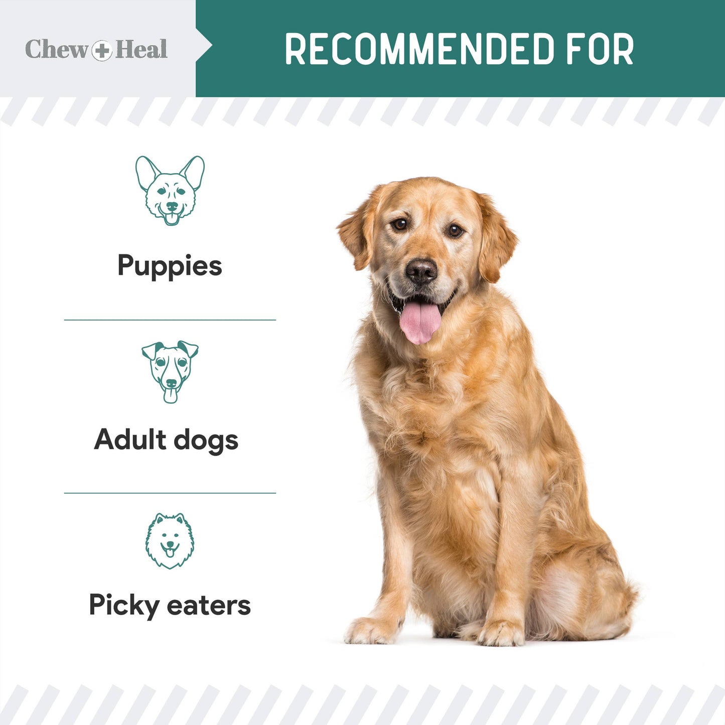 Chew + Heal - Essential 12-in-1 Multivitamin Soft Chews for Dogs