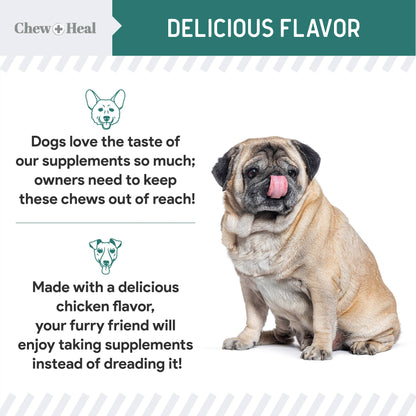 Chew + Heal - Essential 12-in-1 Multivitamin Soft Chews for Dogs