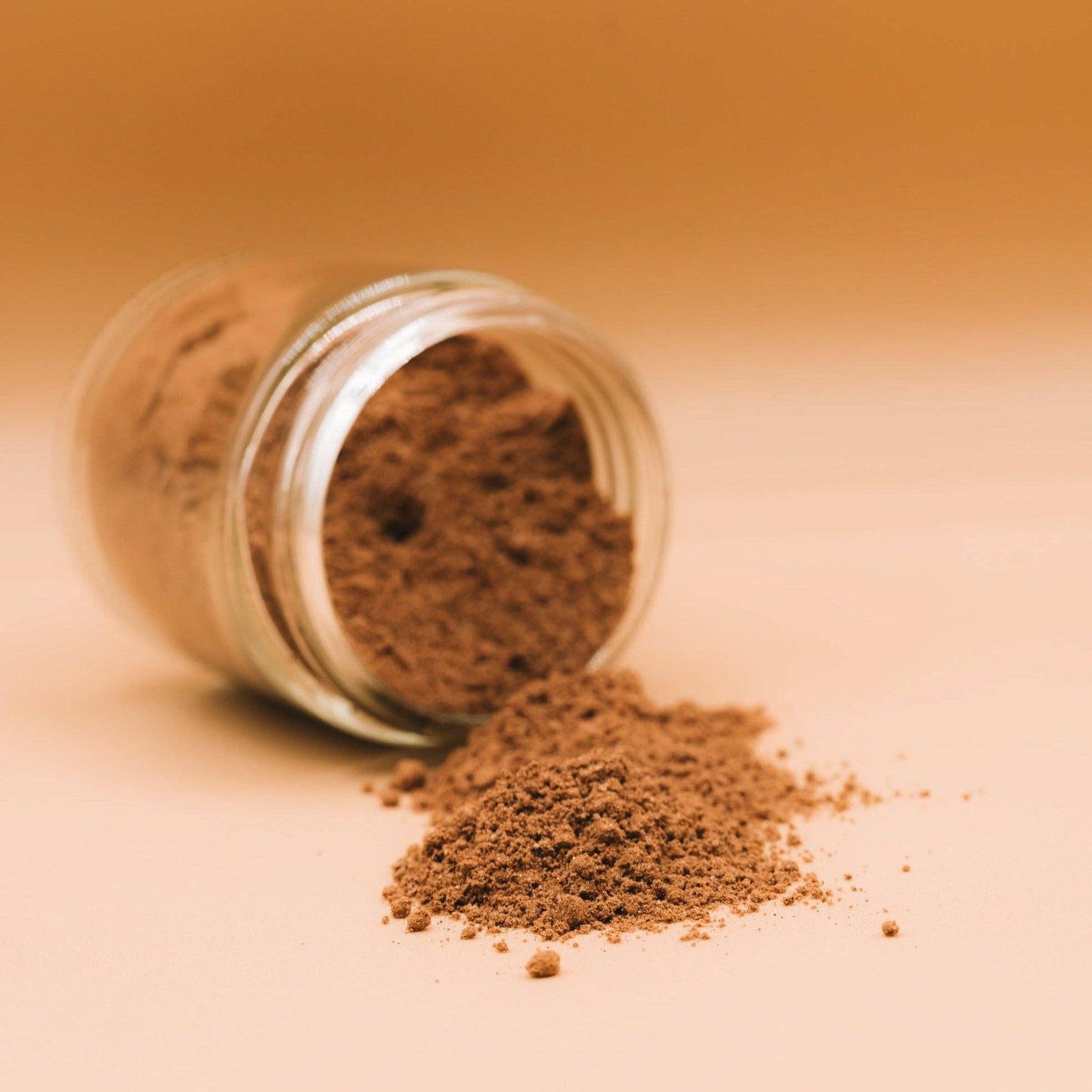 holisticanine - Organic Shroom Boost Supplement | Immune and Cognitive Support