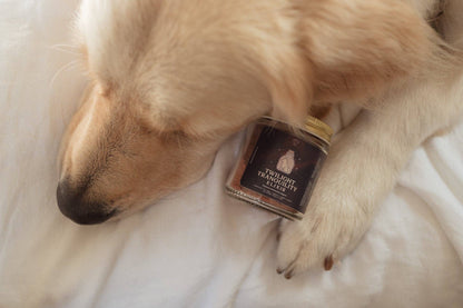 holisticanine - Organic Twilight Tranquility Elixir Supplement | Wellness & Relaxation Support