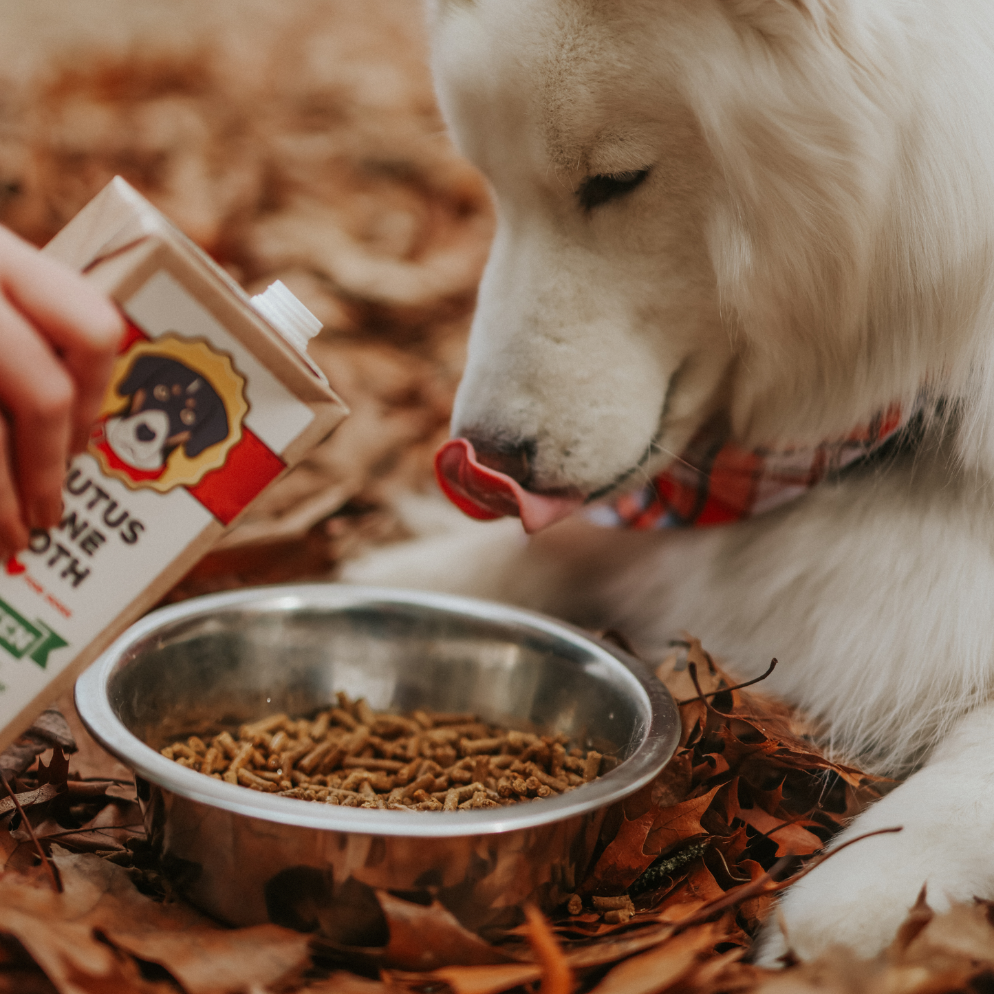 Brutus Broth - Brutus Bone Broth - Chicken Flavor