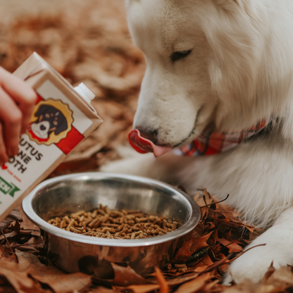 Brutus Broth - Brutus Bone Broth - Chicken Flavor