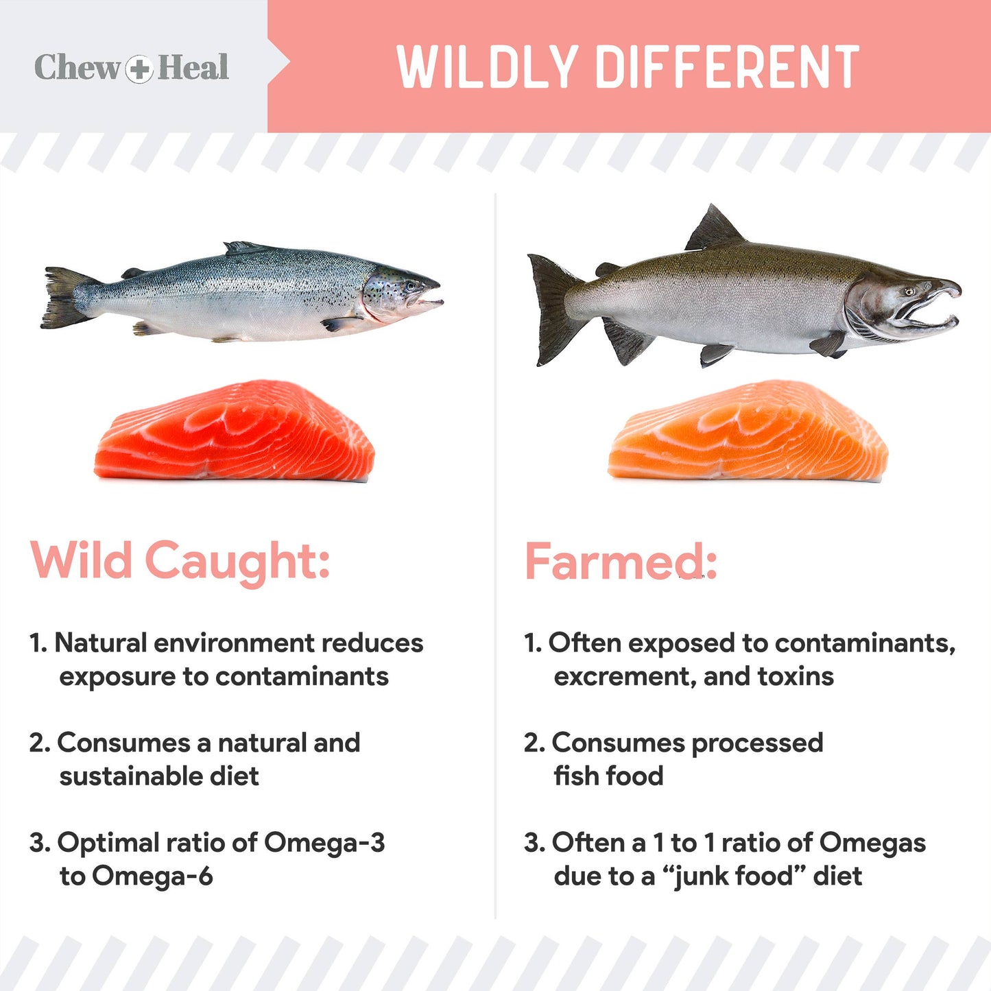 Chew + Heal - Chew + Heal Wild Alaskan Salmon Oil Formula