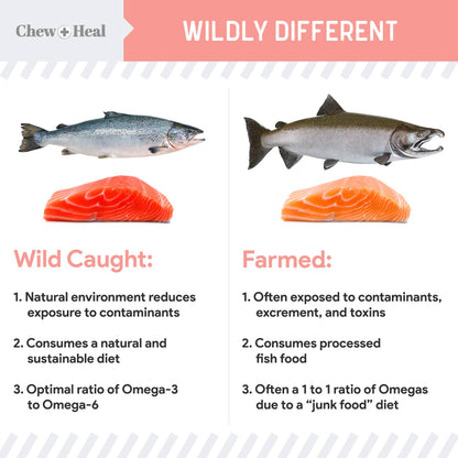 Chew + Heal - Chew + Heal Wild Alaskan Salmon Oil Formula