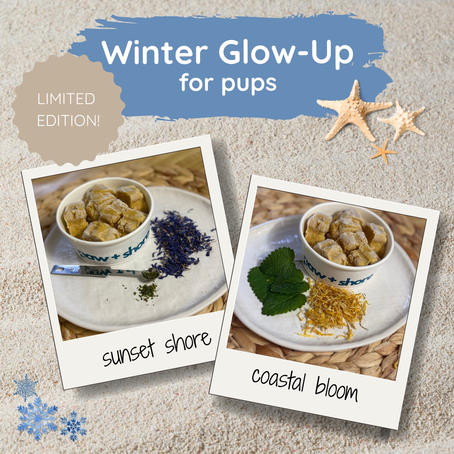 Winter Beach Bites - Single Tub (~6 Large Treats)